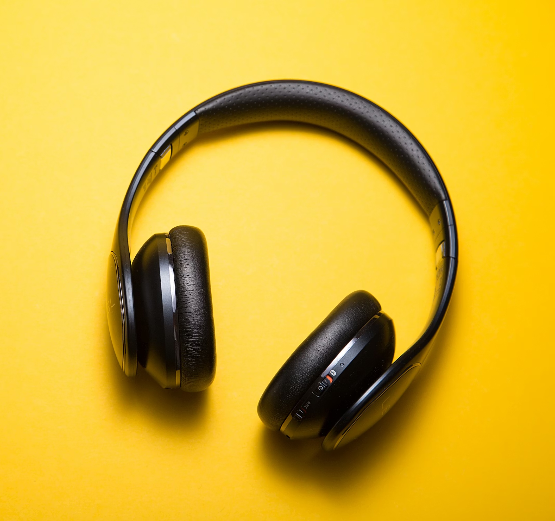 Reference headphones photo